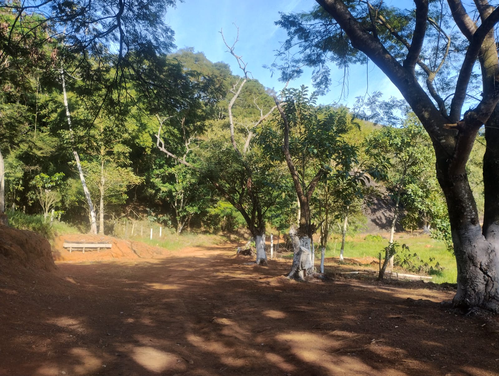 Paisagem da Corrida da Cachoeira 7
